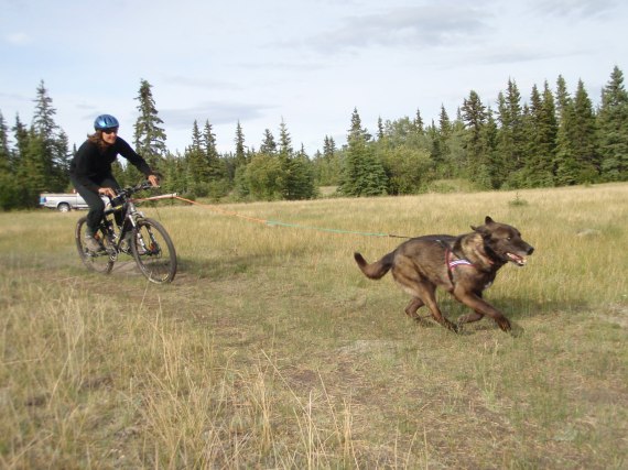 Susie and Tundra scream down the trail!