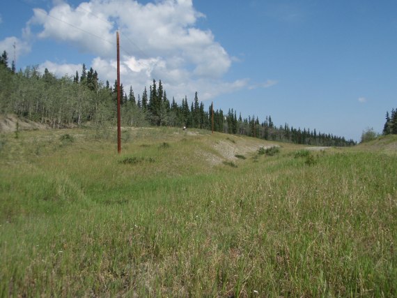 Darrell forges ahead