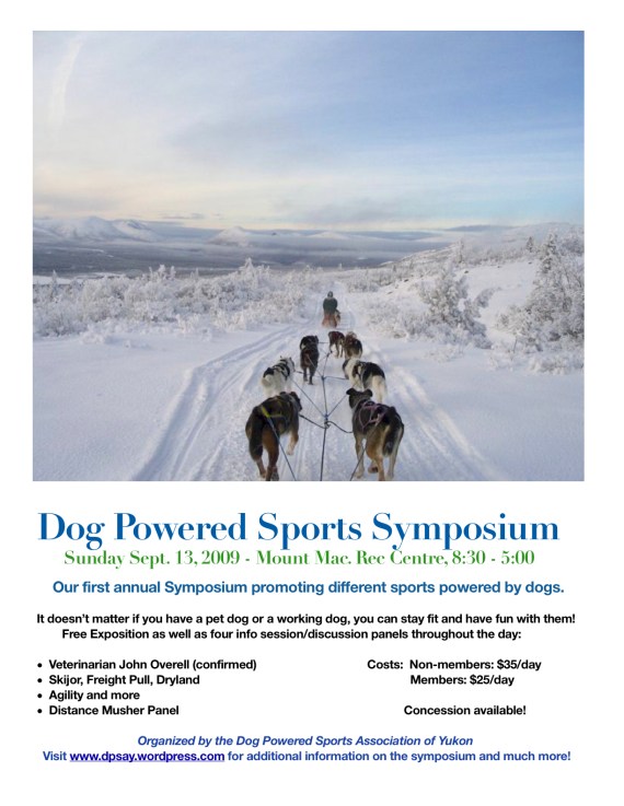 DPSAY symposium flyer