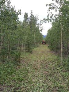 11702705_10206750066407987_8722618301790710929_n