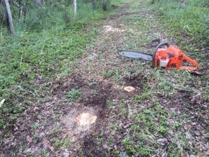 11781729_10206757928684539_8134494355813766081_n